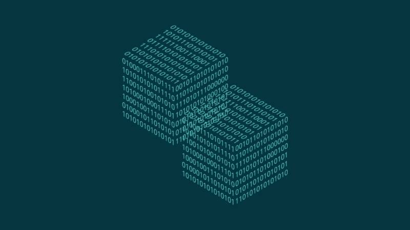 大化信创改造：网络应用开发流程标准化的核心路径与实践